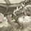 Thumbnail: DM Screen for Version 2024 of 5e
