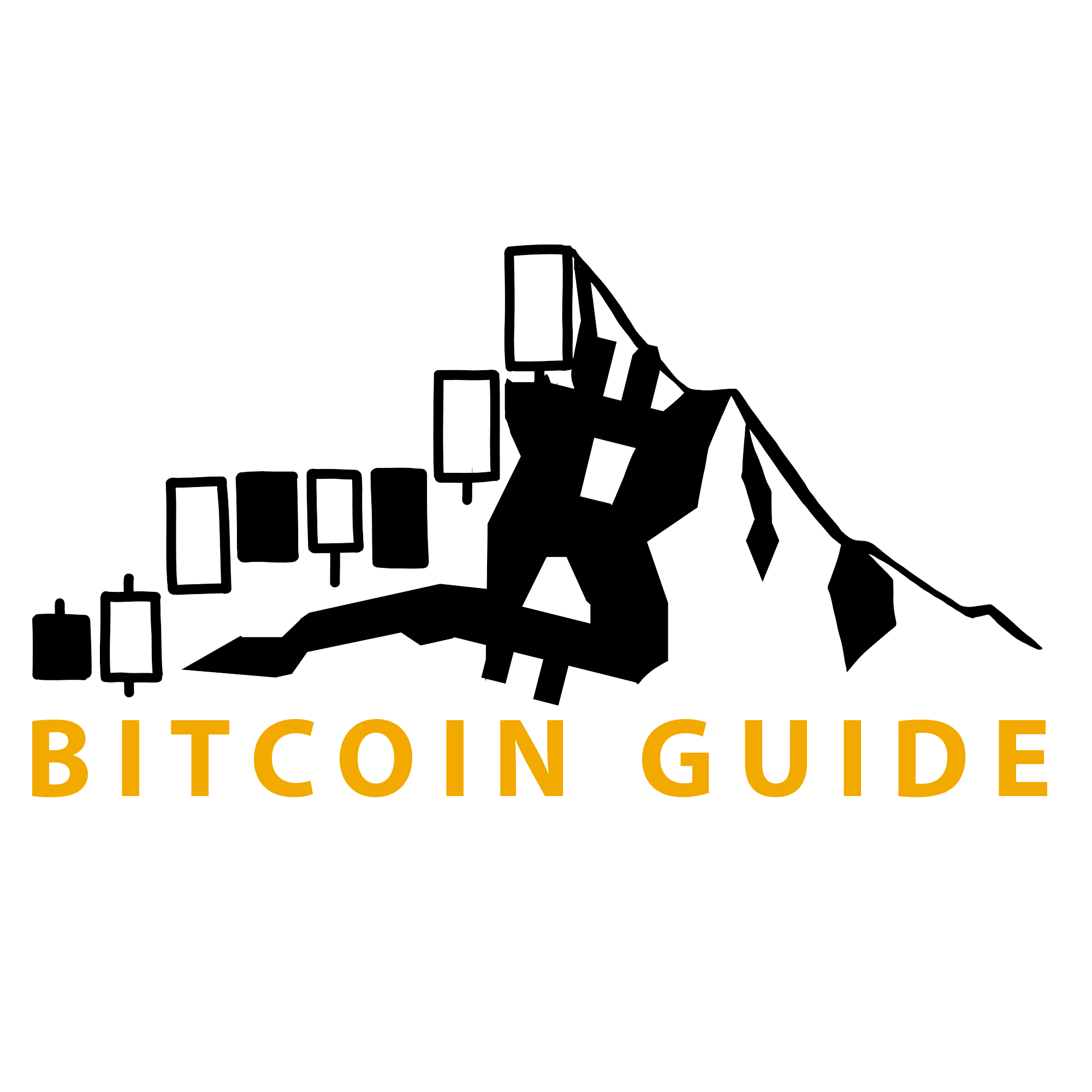 Bitcoin Guide | Bitcoin für Anfänger Schweiz