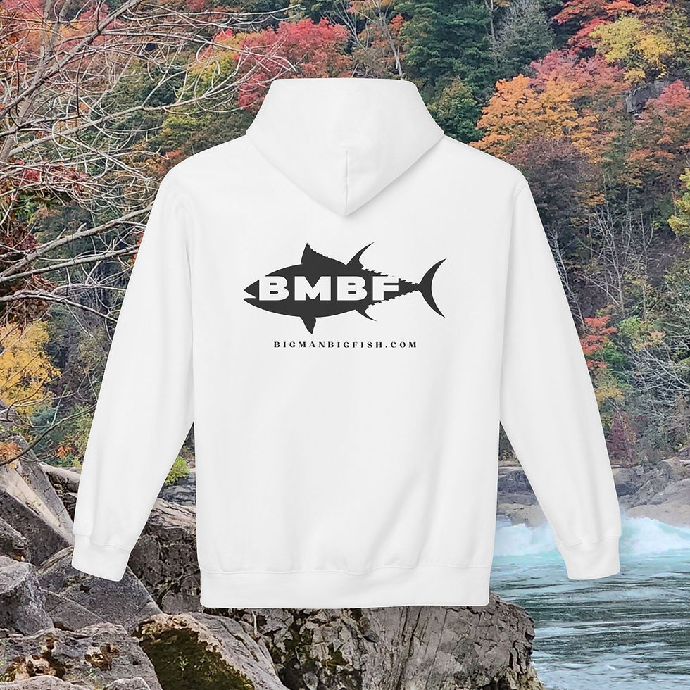 Thumbnail: BMBF Hoodie Black Logo