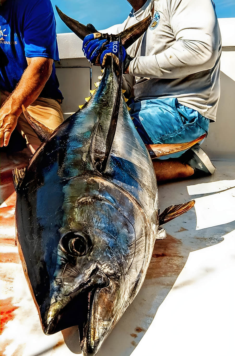 Larry Yellowfin_edited_edited.png