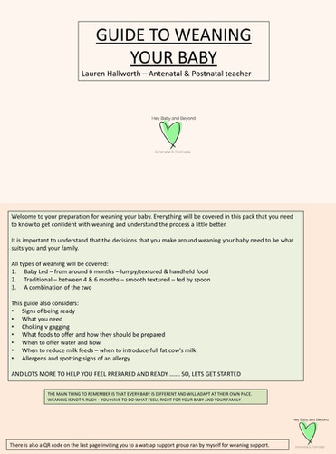 Wee Little Baby Weaning Schedule Months Buy 6-12 Month Baby Food