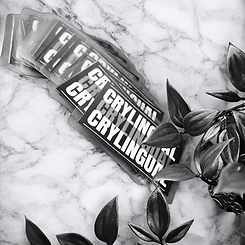 Crylingual conversation card deck surrounded by vine