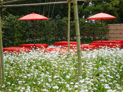 J. PARASOLS ROUGES - copie