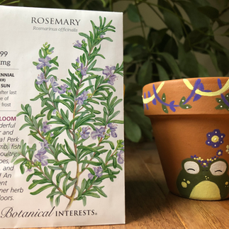 A bag of rosemary seeds next to a pained pot of a frog.
