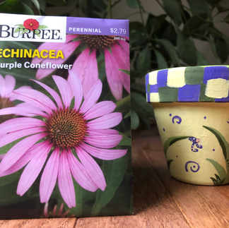 A bag of coneflower seeds next to a pained pot of a beetle.