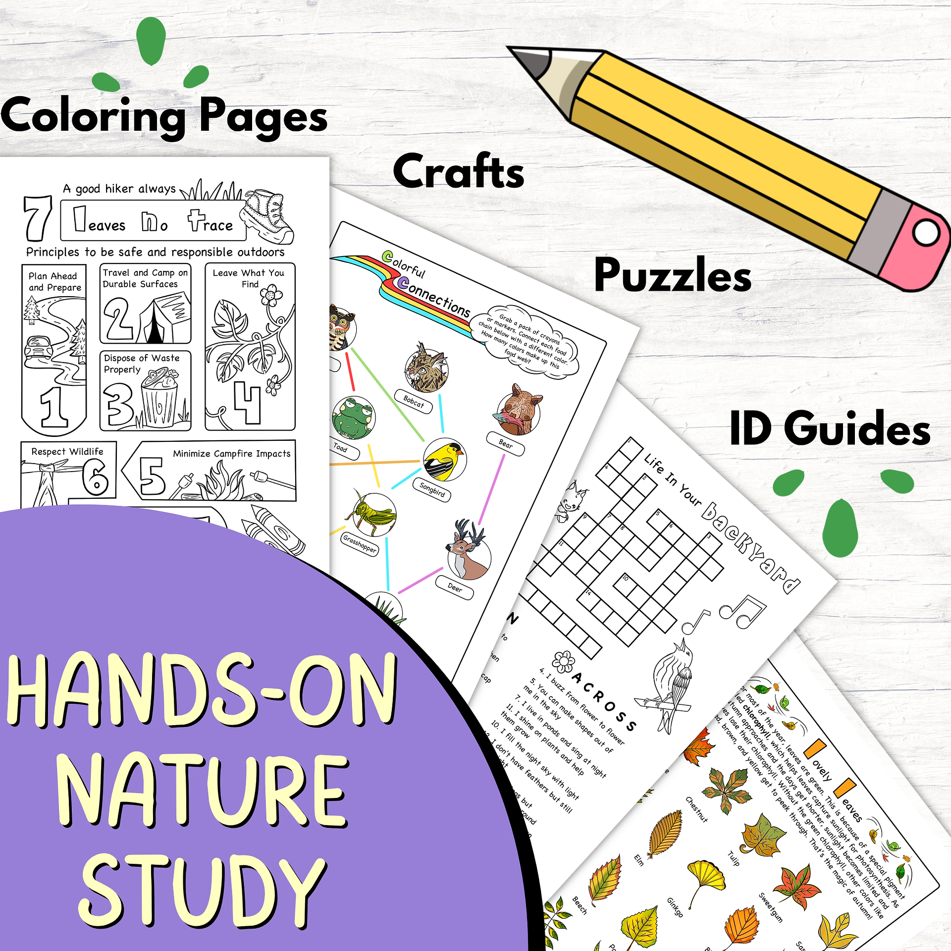 activity pages in a kid's nature journal