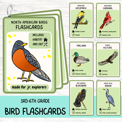 Deck of bird flashcards