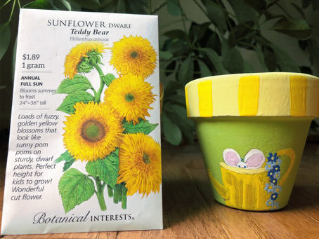 How to: Start a Pollinator Garden
