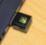 ree