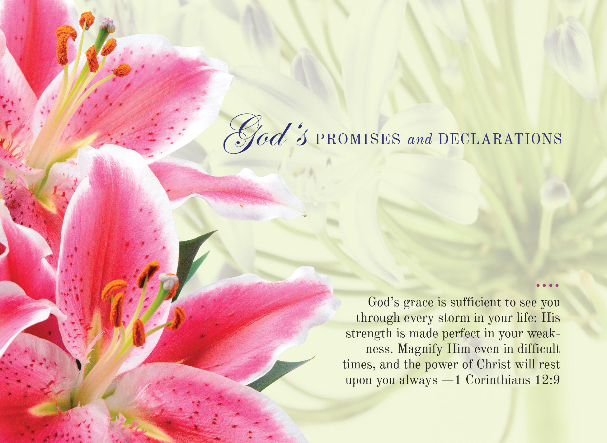 Magnify - Strength Is Made Perfect