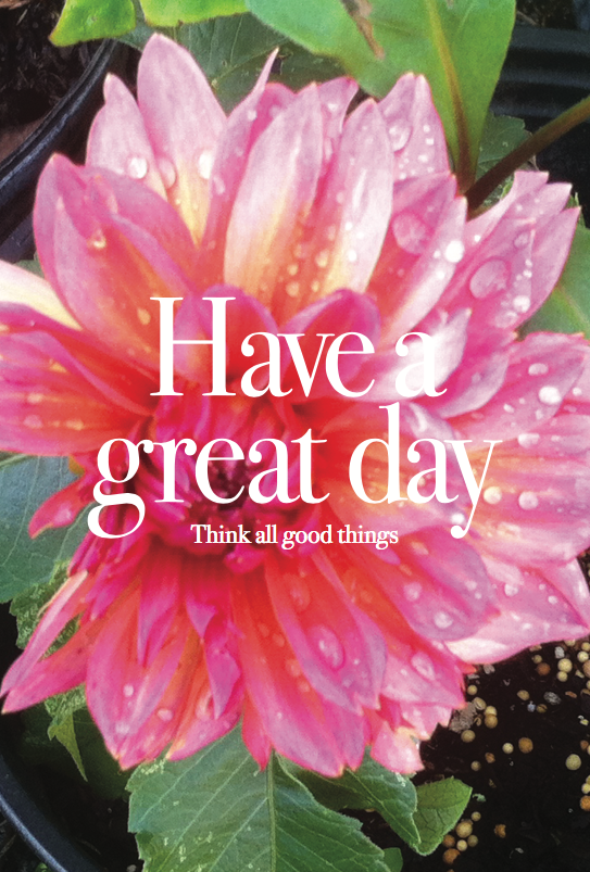 Positivity - Have A Great Day