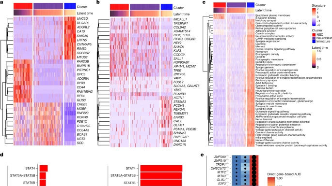 This scientific infographic features several heatmaps and bar charts analyzing gene expression and molecular signatures across different cell clusters, using vibrant colors to represent enrichment levels and complex statistical q-values.