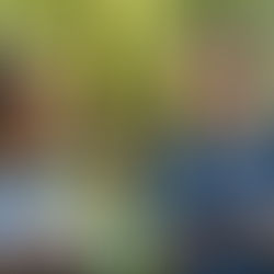 Dos jóvenes sonrientes, con apariencia de estudiantes, conversan animadamente al aire libre. La mujer con cabello rizado escribe en un cuaderno, mientras el hombre con barba sostiene un libro.