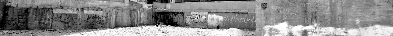 20240425_114056_edited_edited_edited.png