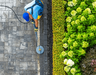 Worker pressure washing patio next to vibrant flowers