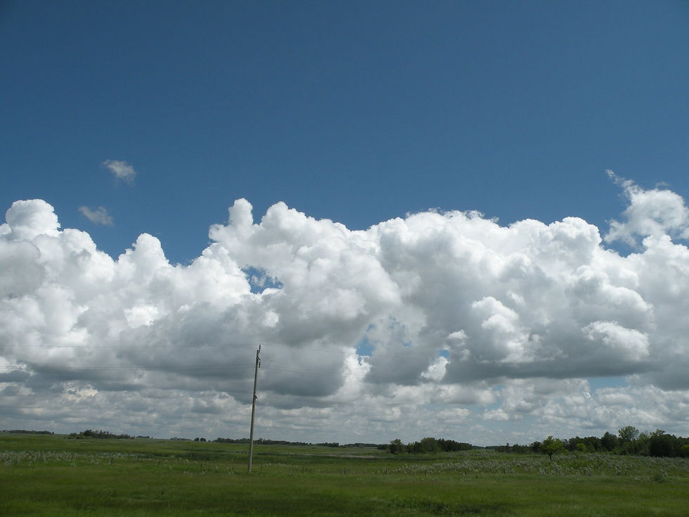 DSCN5353