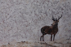 Stag in the Snow