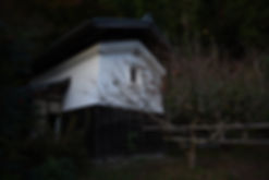 DSC_6332.JPG