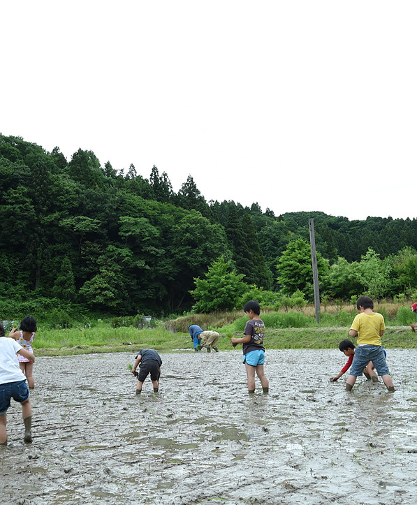 DSC_2780.JPG