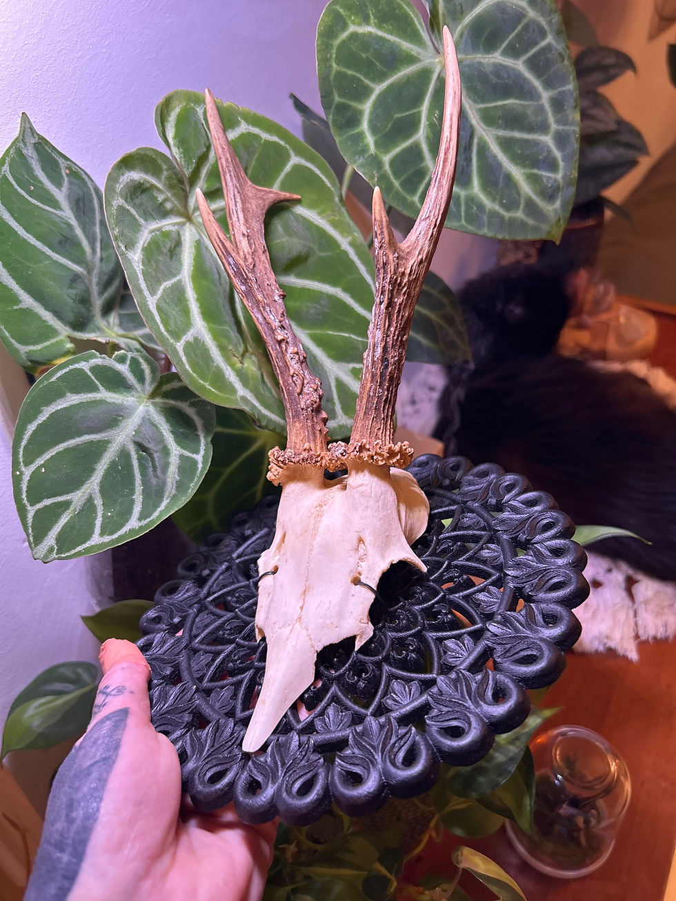 Minijatura: Male deer Mandala (wall sculpture)