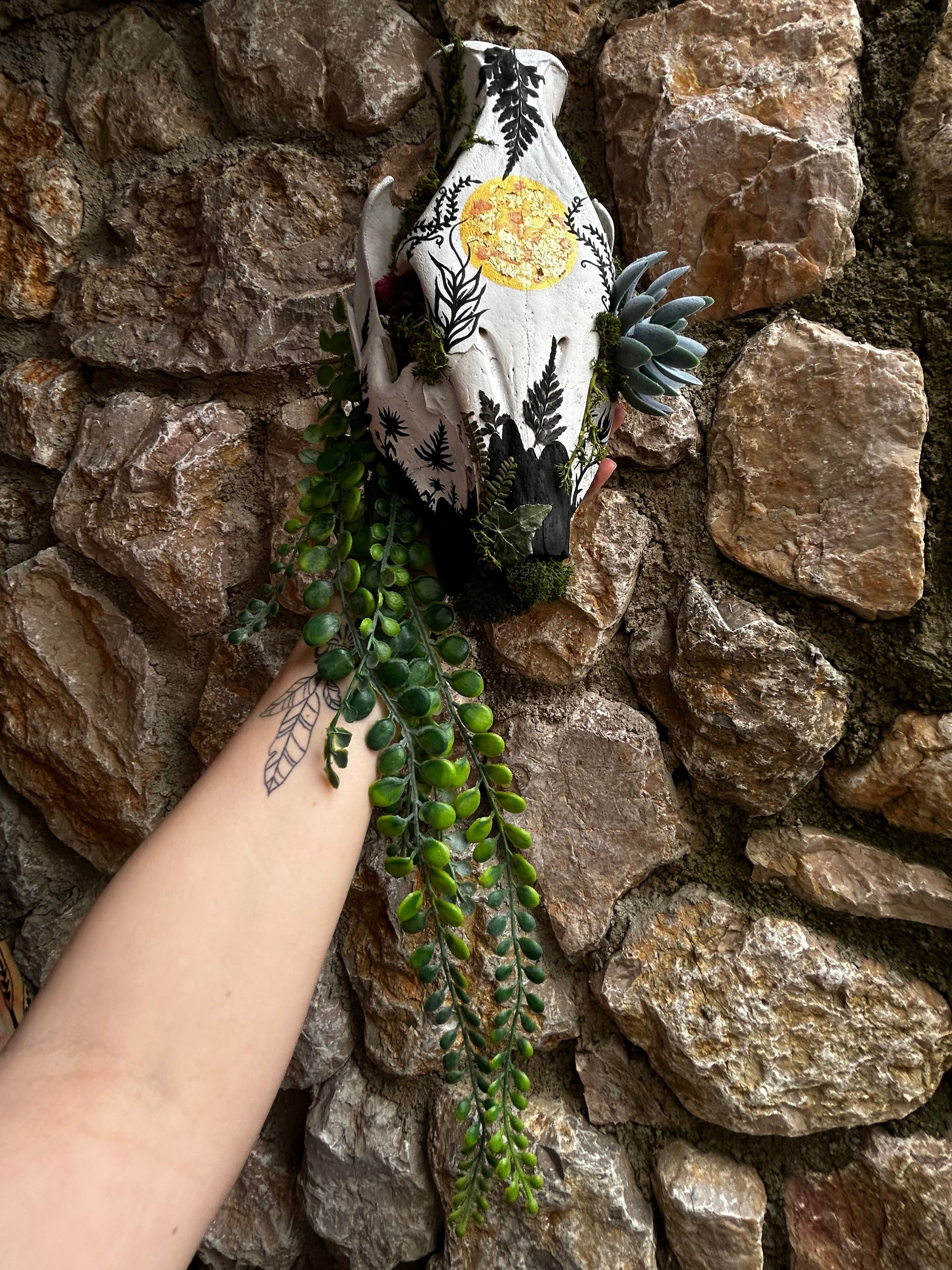 Wild Boar - Wall Sculpture (half Skull)