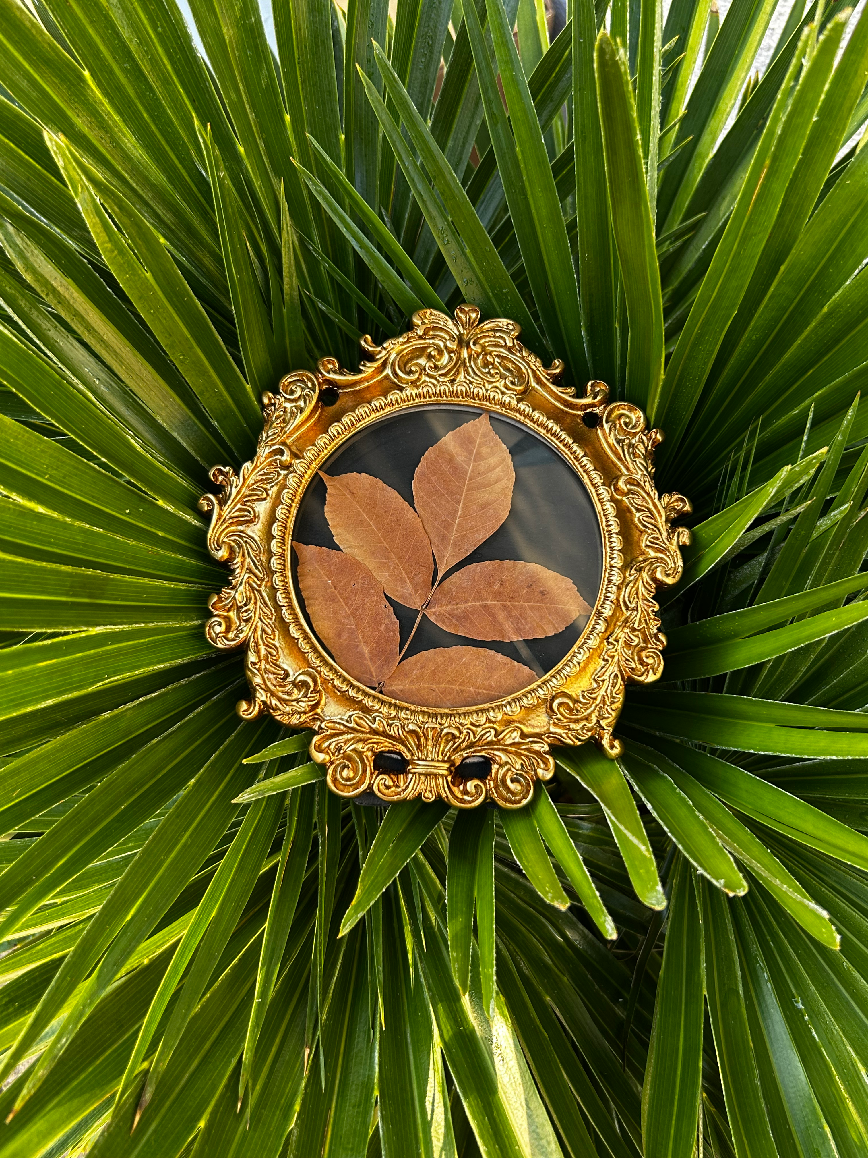 Leaf in Vintage 