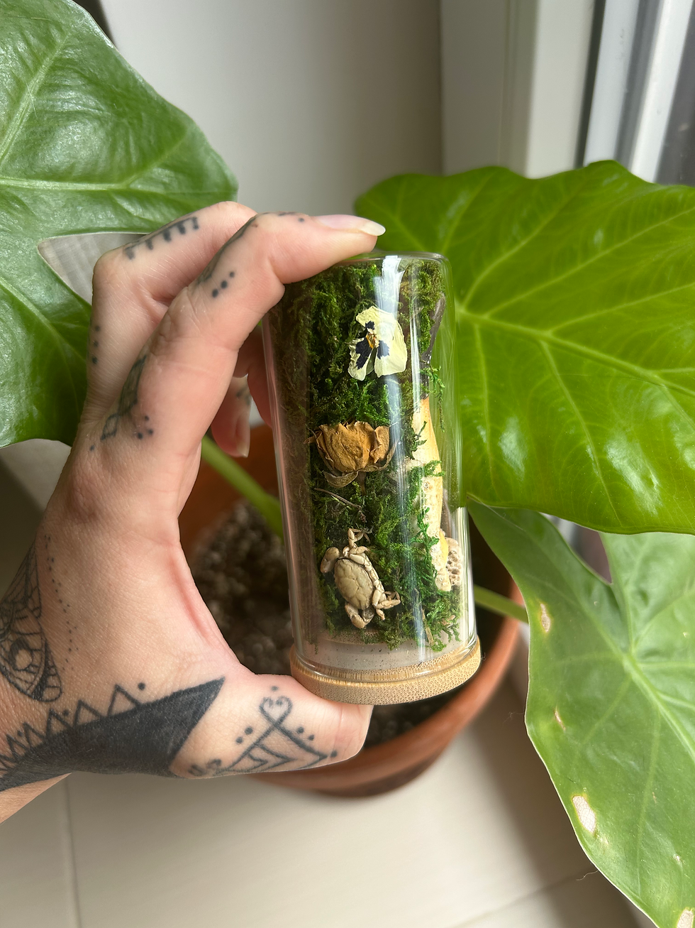 Minijatura: Glass Dome Cancer 