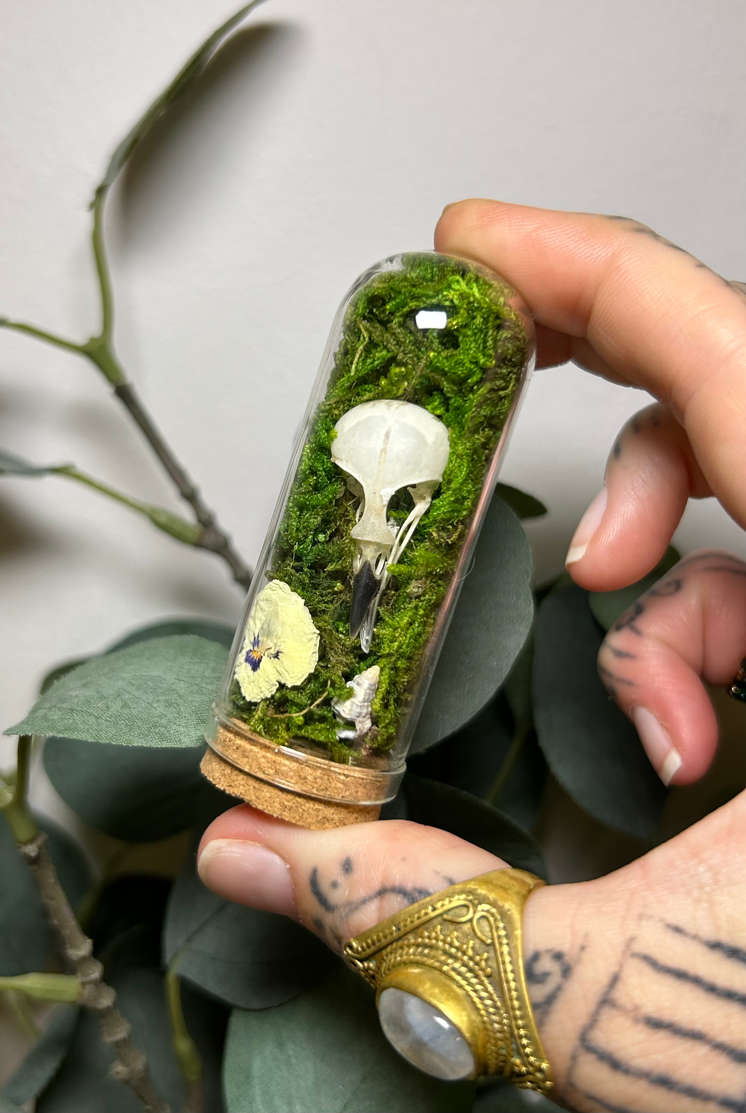 Witchy Pots (Mini Glass Dome)