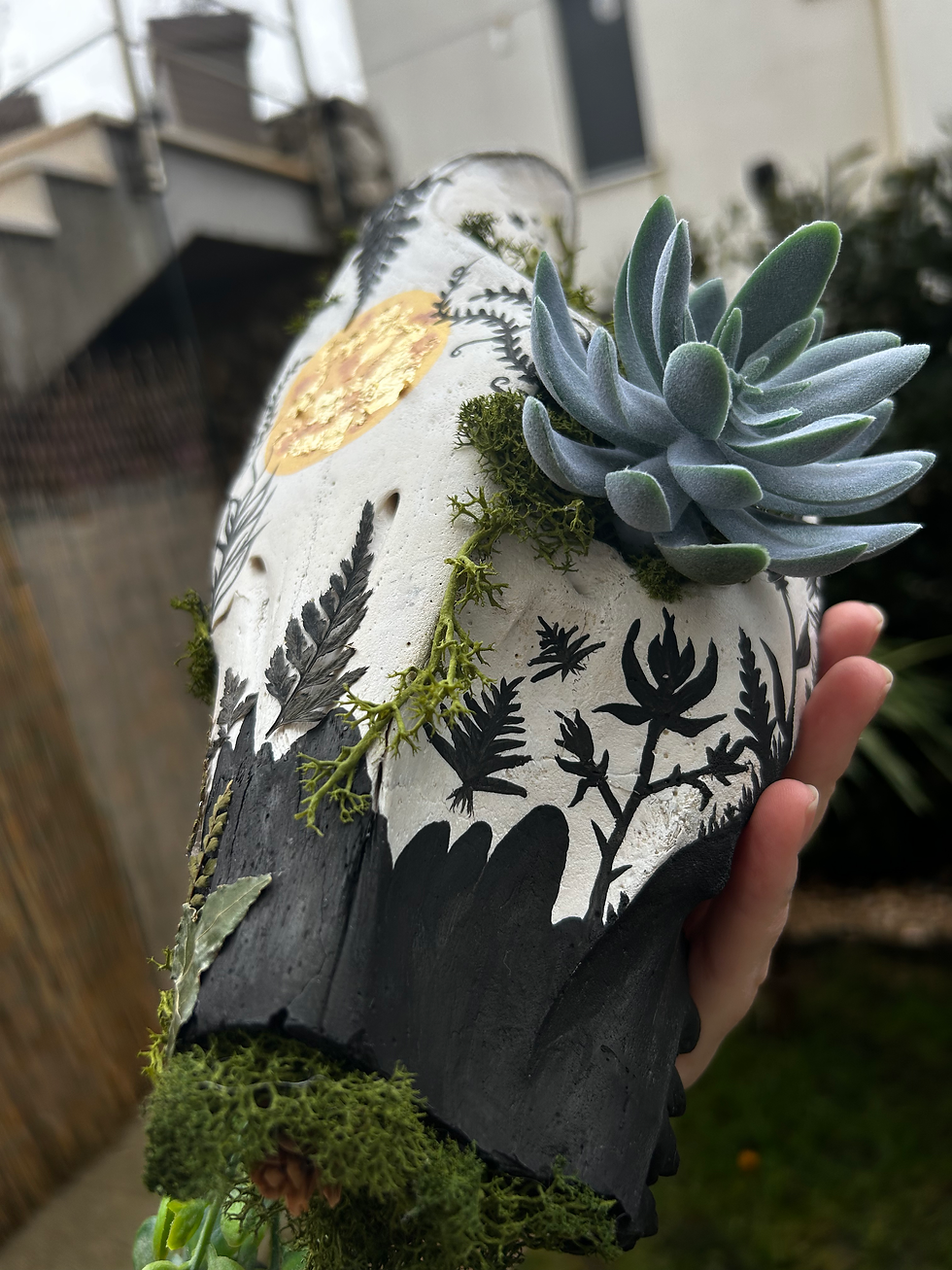 Thumbnail: Wild Boar - Wall Sculpture (half Skull)