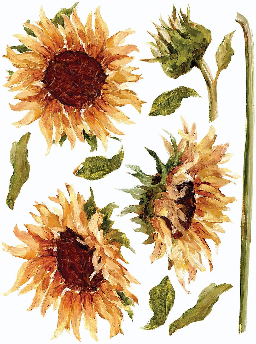 Miniatură: transfer-decorativ-floarea-soarelui-soulpaintatelier