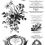 Miniatură: MELANGE – IOD Paint Inlay – set 8 pagini A3