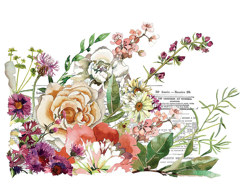 Miniatură: ELYSIUM – transfer decorativ – set de 4 pagini