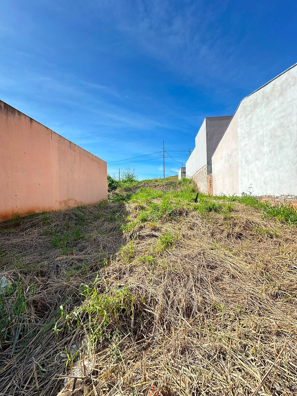 Topografia
