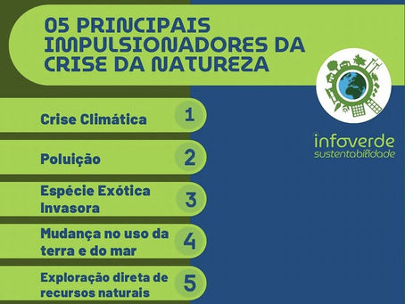 05 principais impulsionadores da crise ecológica