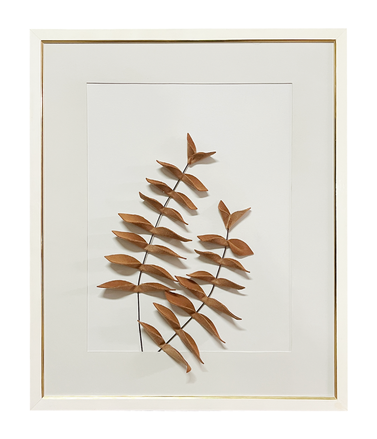 Botany Panel #5