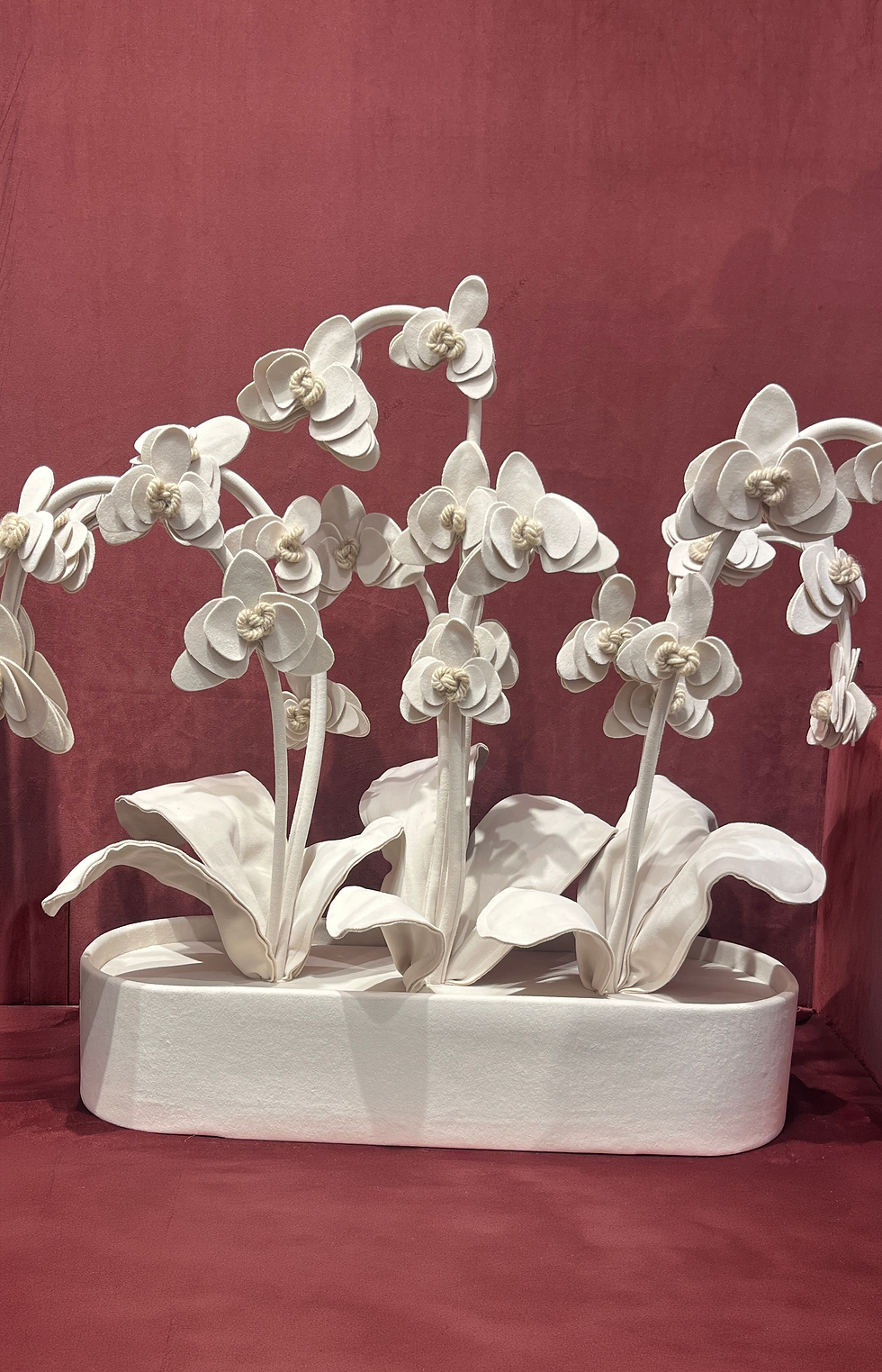 Miniatura: Orquídea Bella M - Oval