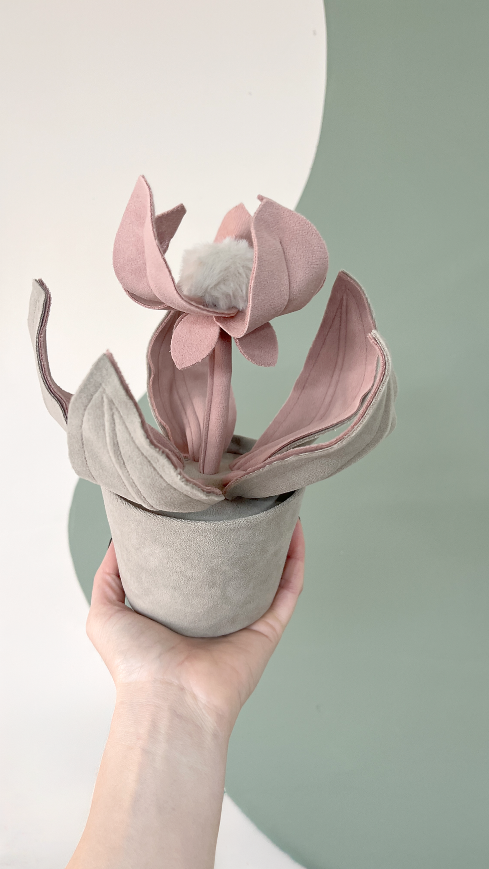 Thumbnail: Mini Protea P