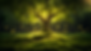Copy of Copy of Crown.png