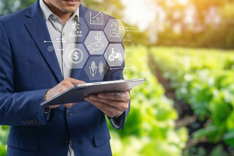 RRA banner image sectors_edited.jpg