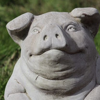 The Stone Pig.jpeg