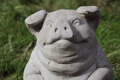 The Stone Pig.jpeg