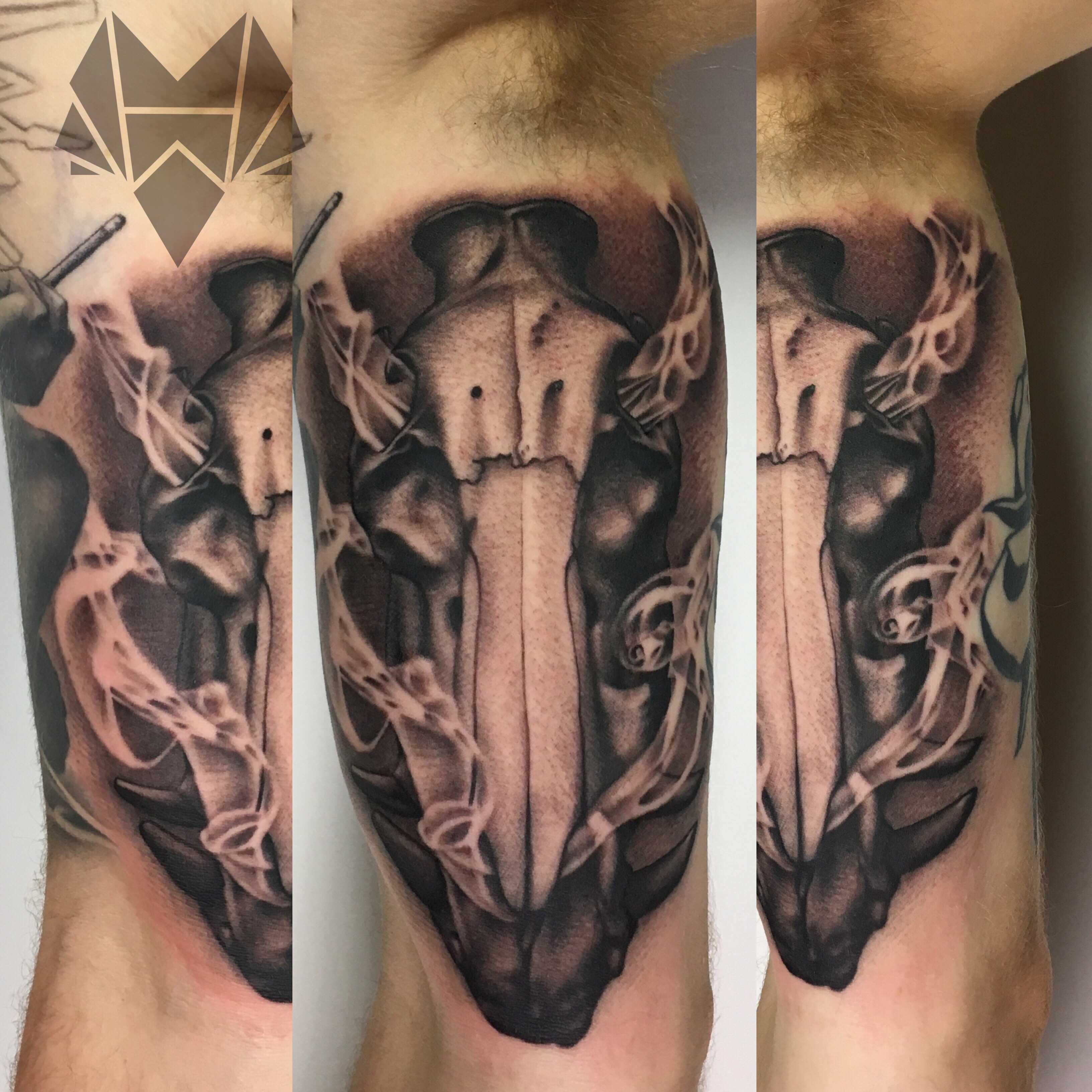 boarskull