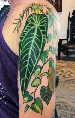 Screenshot 2023-09-22 at 12.46.58 PM