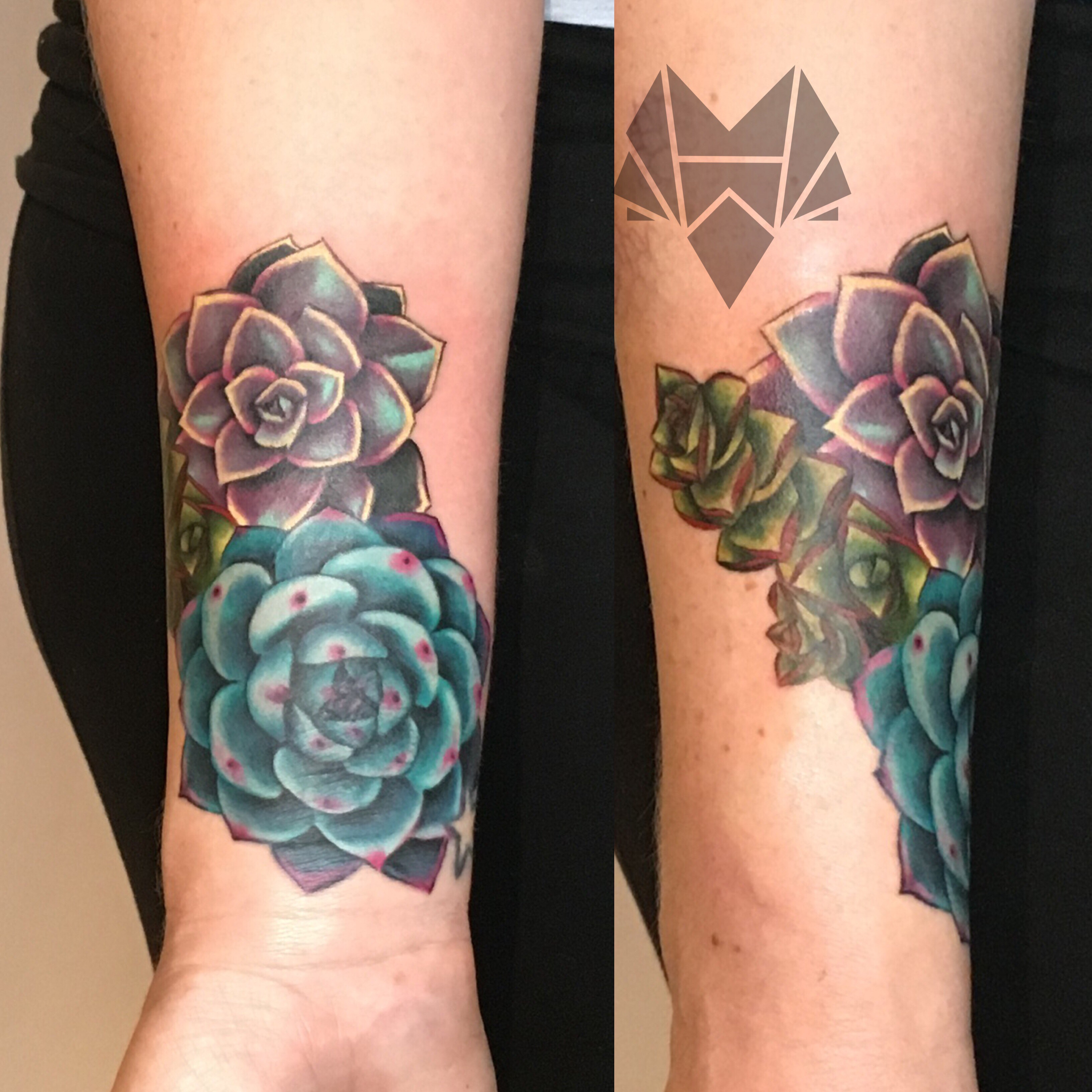 succulents