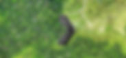 drone_header_preview.jpg