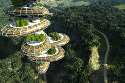 forest-future-city HD