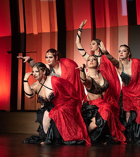 alea oriental dance studio al cairo fest budapest.jpg