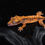 Thumbnail: Halloween Extreme Harlequin Crested Gecko