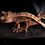 Thumbnail: Pinstripe Crested Gecko