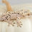 Thumbnail: Pale Base Ink Spot Dalmatian Crested Gecko